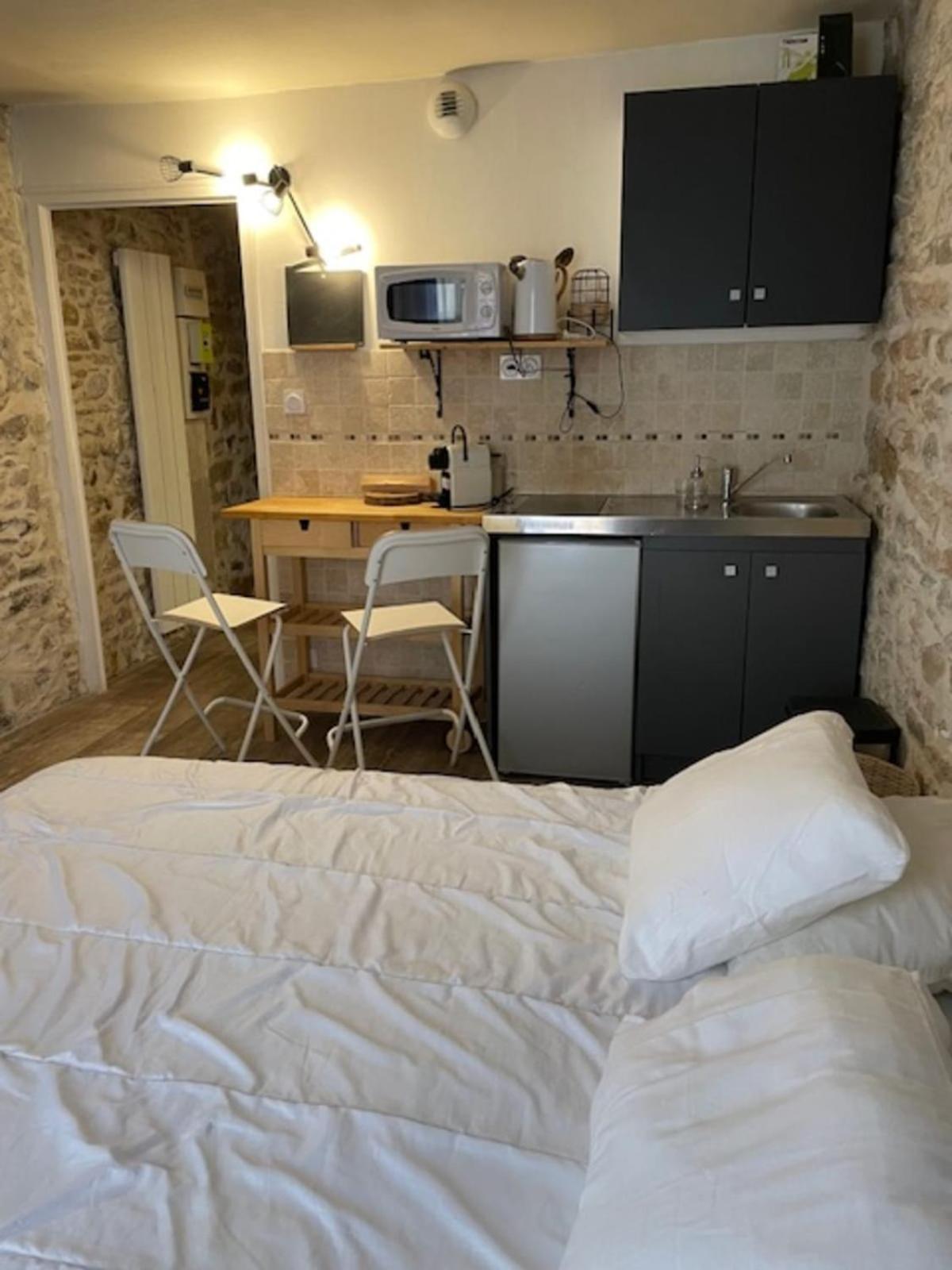 Studio With Exposed Stone Vieux Lyon Exteriör bild