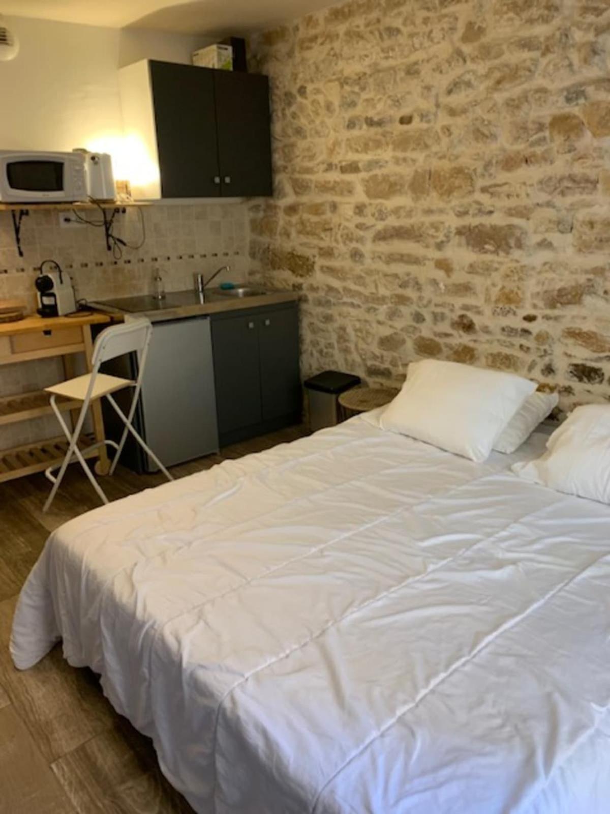 Studio With Exposed Stone Vieux Lyon Exteriör bild